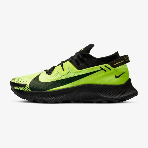 Nike Pegasus Trail 2